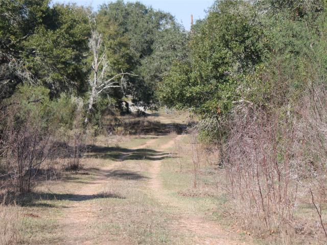 Land for sale in Glidden, Texas