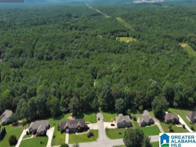 Land for sale in Adger, Alabama
