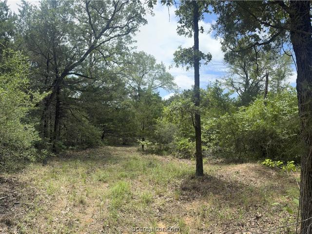 Land for sale in Robertson, Texas