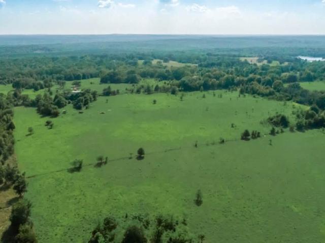 Land for sale in Oakwood, Texas