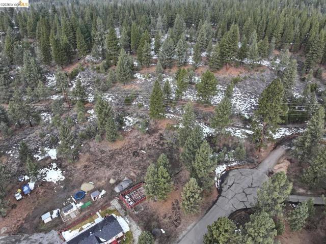 Land for sale in Portola, Plumas County