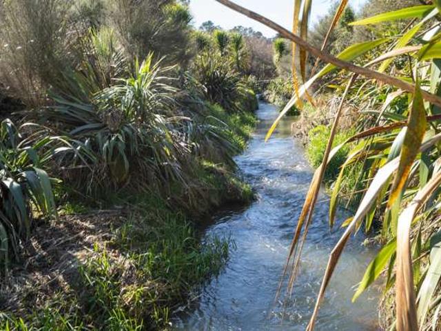 Property for sale in Tauwhare, Waikato