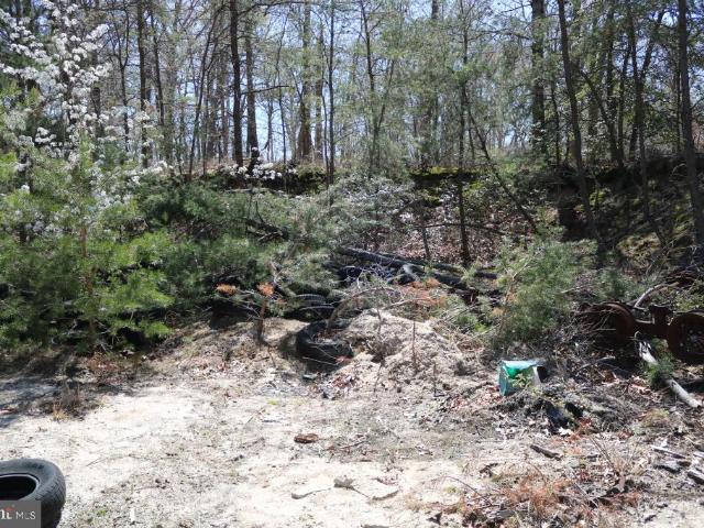 Land for sale in Newport, New Jersey