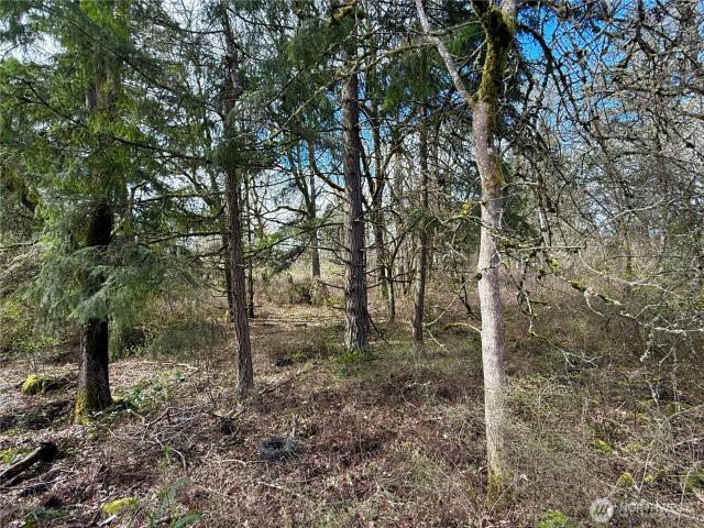Land for sale in Mckenna, Washington