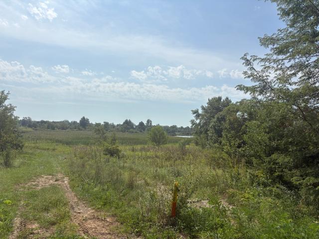 Land for sale in Monee, Will County