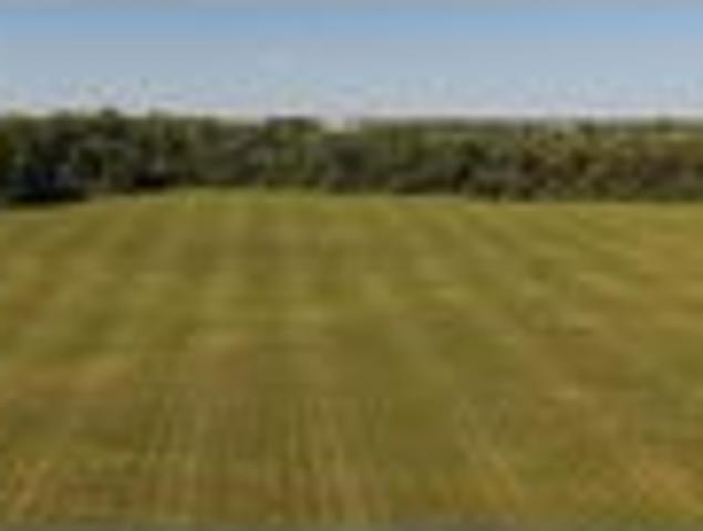 Land for sale in Georgetown, Kentucky
