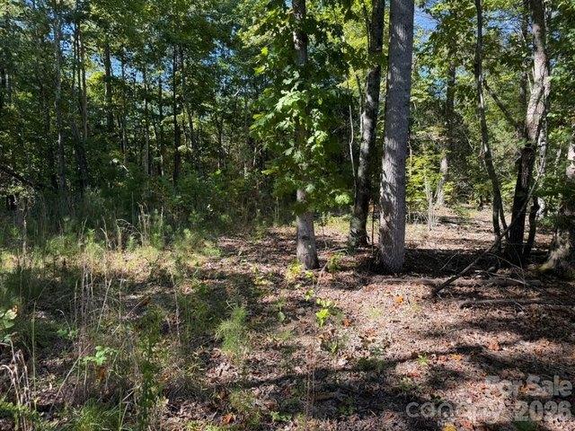 Land for sale in Morganton, Burke County