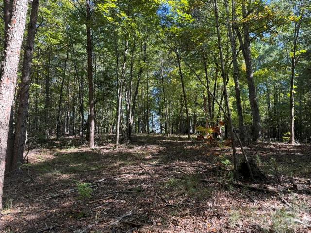 Land for sale in Morganton, Burke County