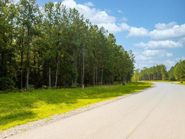 Land for sale in Tennessee