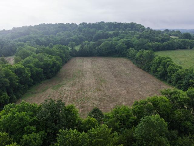 Farm for sale in Tennessee