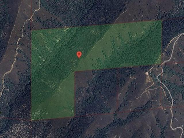 Land for sale in Douglas City, California