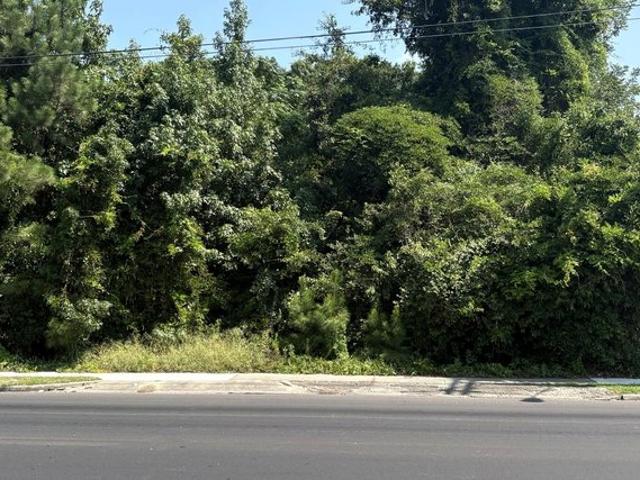Land for sale in Loris, Horry County