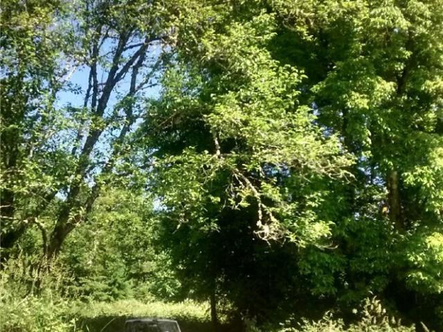 Land for sale in Washington