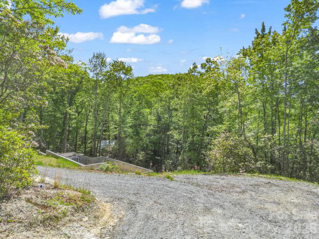 Land for sale in Transylvania, North Carolina
