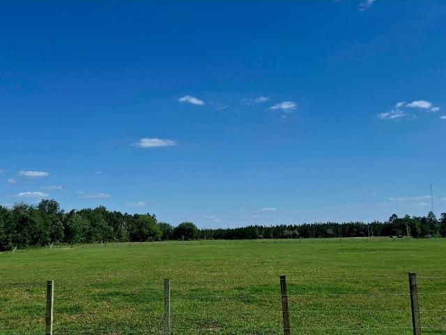 Land for sale in Saint George, Georgia
