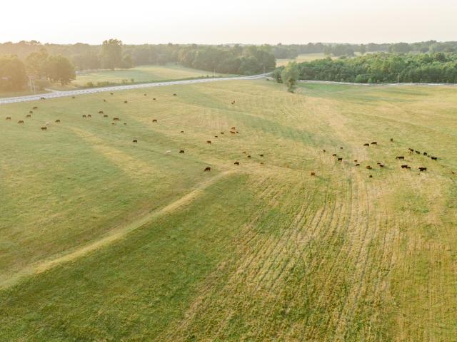 Farm for sale in Dadeville, Missouri