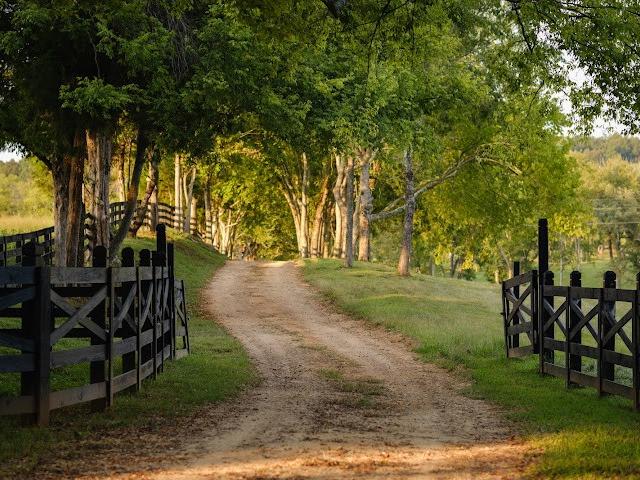 Farm for sale in Tennessee