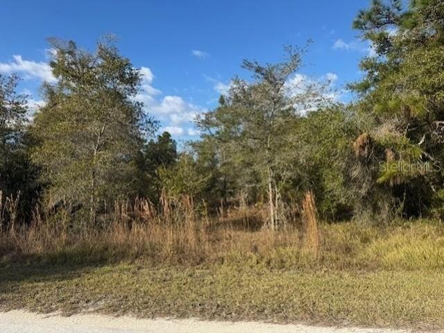 Land for sale in Webster, Florida