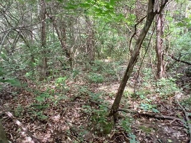 Land for sale in Bismarck, Missouri