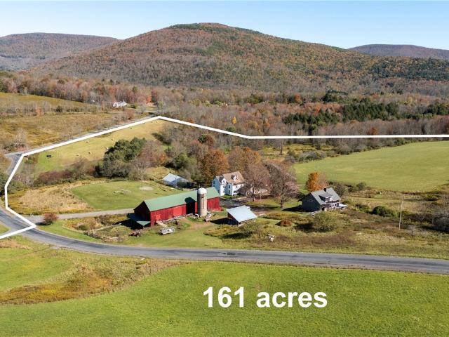 Commercial for sale in Denver, New York