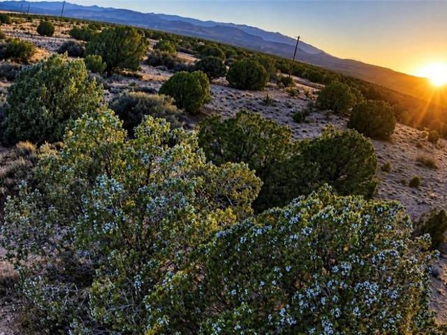 Land for sale in Hackberry, Arizona