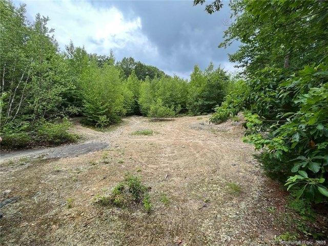 Land for sale in Plymouth, Connecticut