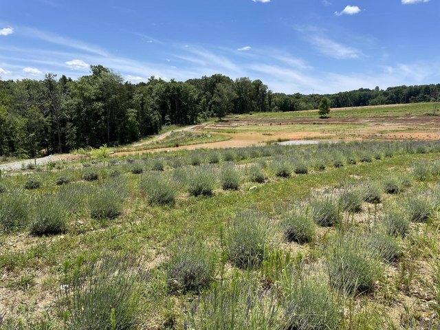 Farm for sale in Athens, East Tennessee