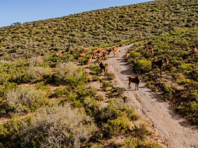 Farm for sale in Groot Brak Rivier, Western Cape