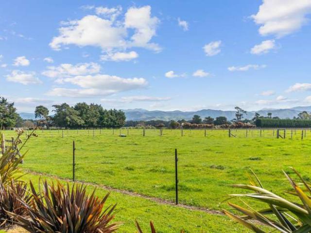 Property for sale in Carterton, Wellington