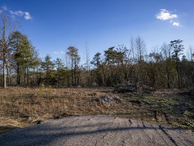 Land for sale in Lookout Mountain, Walker County