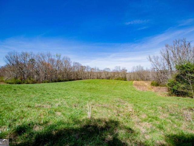 Land for sale in Mount Zion, Georgia