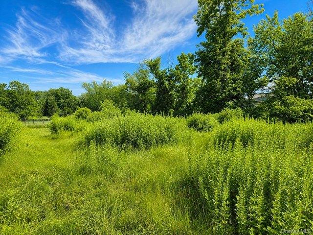 Land for sale in Bloomingburg, New York