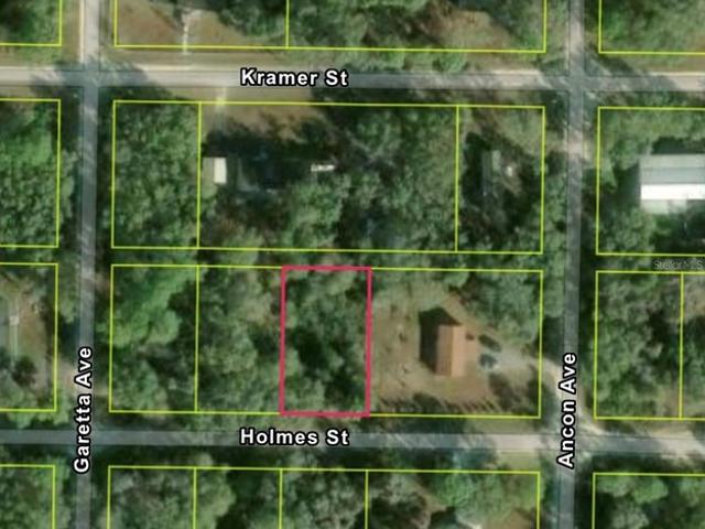 Land for sale in Webster, Florida