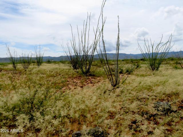 House for sale in Tombstone, Cochise County