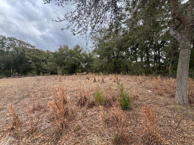 Land for sale in Bell, Florida