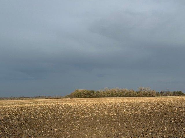 Land for sale in Dawson, Minnesota