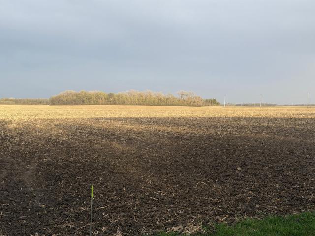 Land for sale in Dawson, Minnesota