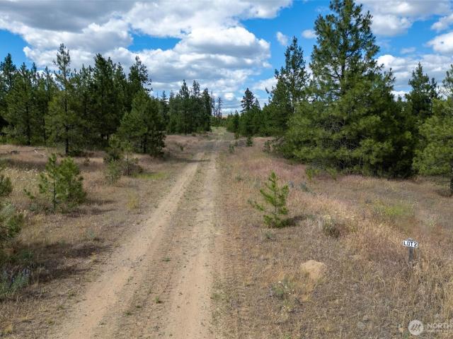 Land for sale in Creston, Washington