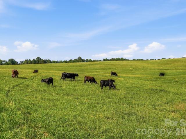 Land for sale in Richburg, South Carolina
