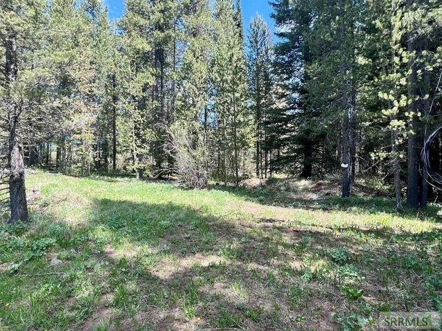 Land for sale in Island Park, Idaho
