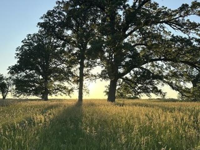 Land for sale in Earlville, Illinois