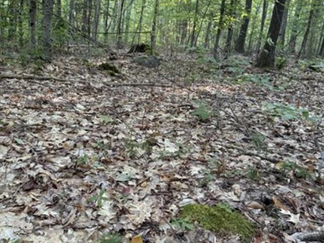 Land for sale in Bolton Landing, New York