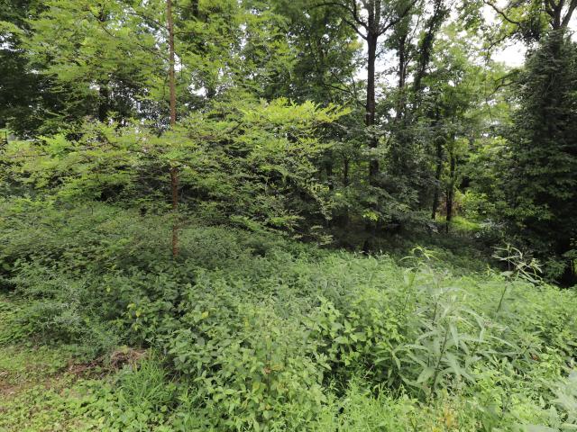 House for sale in Brooksville, Bracken County
