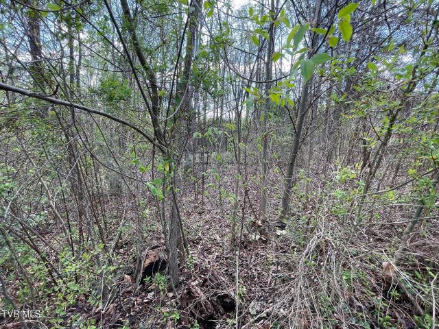 Land for sale in Pettyjohn Mill, Blountville