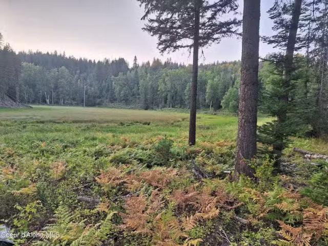 House for sale in Sandpoint