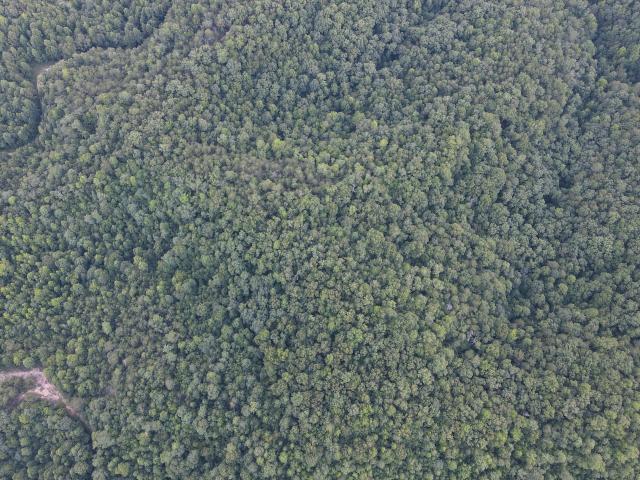 Land for sale in Williamsburg, Kentucky