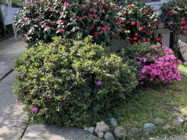 Property for sale in Diamond Springs, California