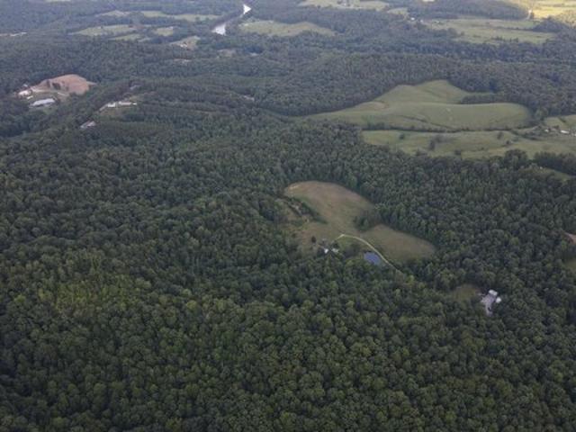 Land for sale in Williamsburg, Kentucky