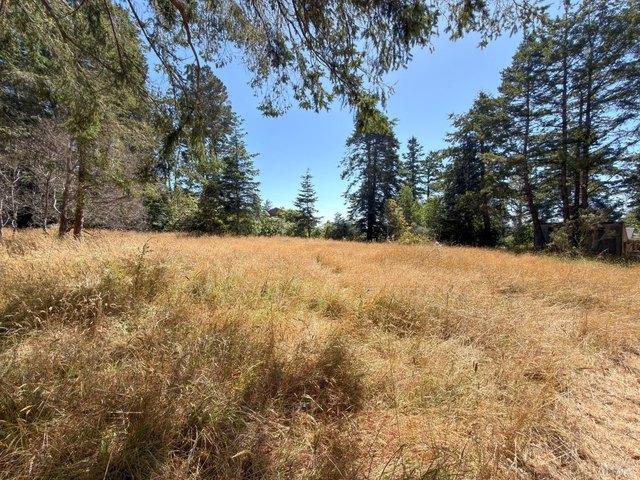 Land for sale in Sea Ranch, Sonoma County