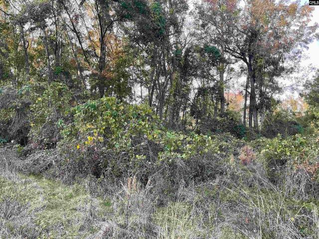 Land for sale in Barnwell, South Carolina